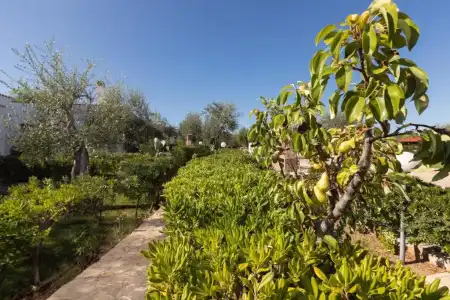 Residence Villantica - 310