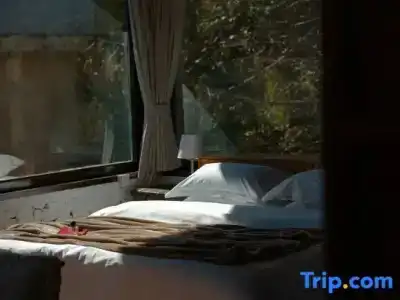 Adonis Inn Lijiang - 28