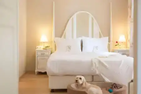 Gatto Perso Luxury Apartments - 69