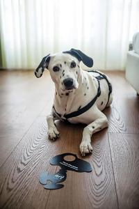 Art City Leipzig - 109