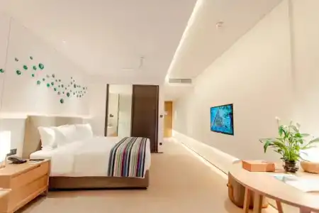 Sanya Conifer Resort - 71