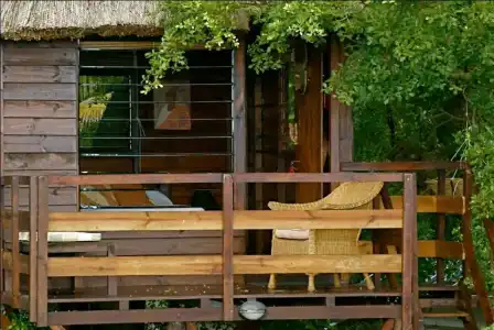 Tree Lodge Mauritius - 12