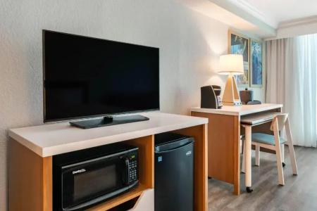 Dolphin Sands Clearwater Beach, an Ascend Collection - 27
