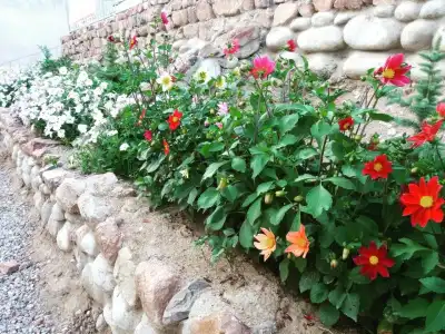 Guest House Arbat - 5
