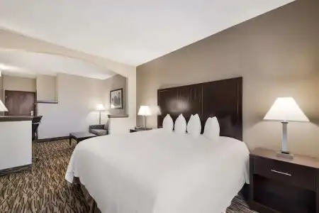 Comfort Suites Plano East - Richardson - 52