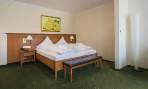 Schweizer Hof Thermal und Vital Resort - 42