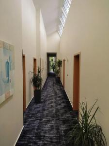 Zum Märchenwald - 12