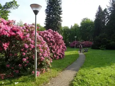 Spa Resort Libverda - Nový Dům - 23