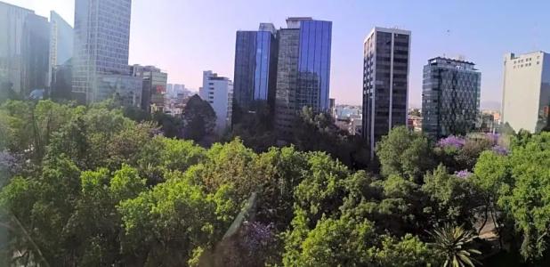 Holiday Inn Express Mexico Reforma by IHG - 67