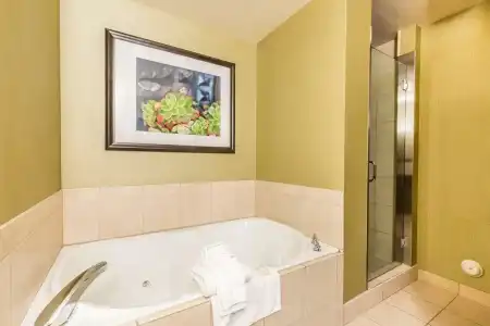 Hilton Garden Inn St. George - 85