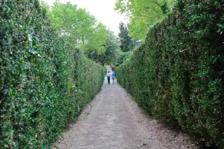 Villa Trigona - 39