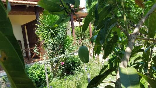 Phu Quoc Eco Beach Resort - 64