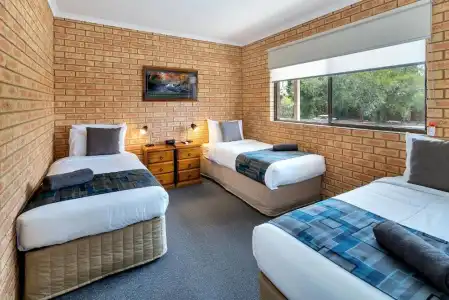 Begonia City Motor Inn - 43