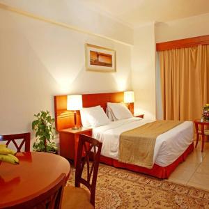 Rose Garden Apartments - Bur Dubai - 34