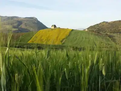 La Suite di Segesta - 10