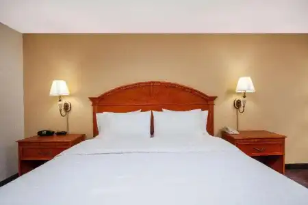 Orlando Palms - 45