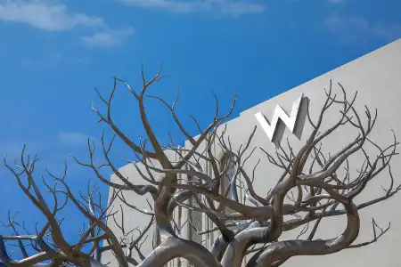 W Muscat - 7