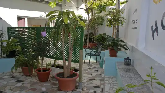 Joy Beach B&B - 7