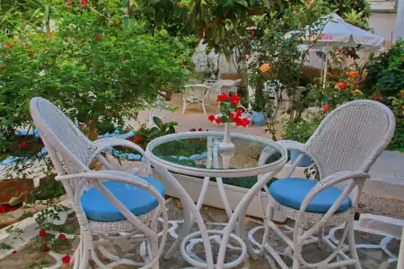 Vasia Boulevard (Adults Only) - 12