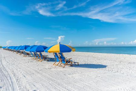Gullwing by Distinctive Beach Rentals - 22