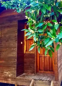 Sheriff Olympos Pension - 20
