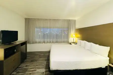 Ramada by Wyndham San Diego Airport - 4
