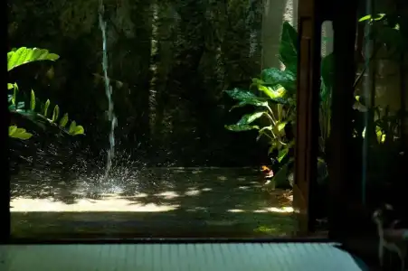 Reef Villa - 139