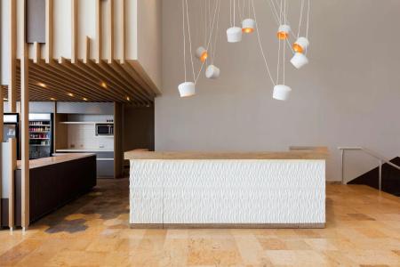 Hilton Garden Inn Mexico City Santa Fe - 8