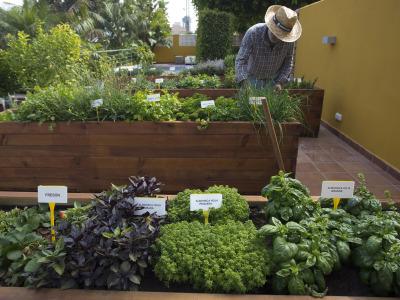 The Cookbook Gastro Boutique & Spa - 19