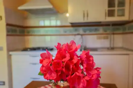 Residence Il Castagno - 38