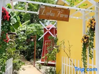 Hue Lotus Homestay - 95