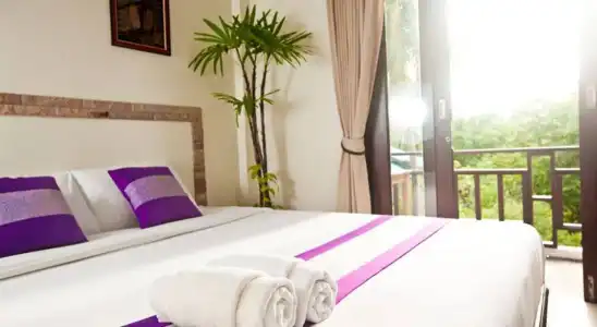 Shanti - 3