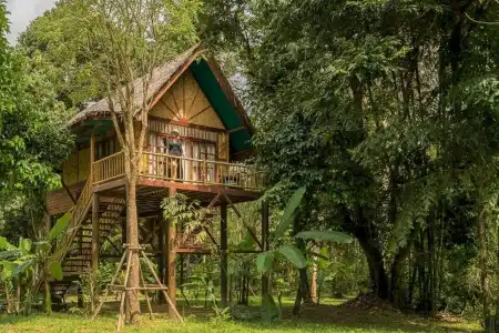 Our Jungle Camp - Eco Resort - 66