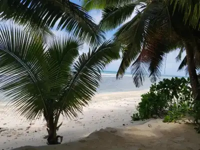 Anse Kerlan Beach Chalets - 5