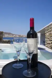 Mykonos Adonis - 76