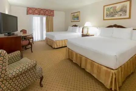 Music Road Resort Inn - 78
