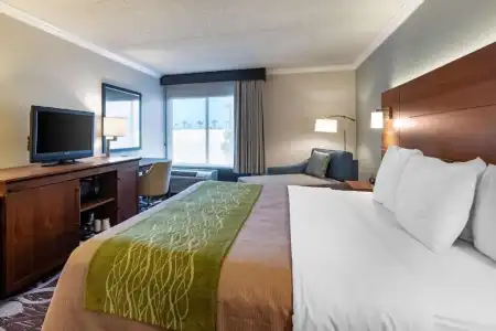 Comfort Inn Anaheim Resort - 57