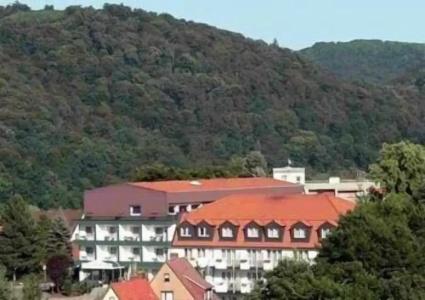 Heikenberg - 28