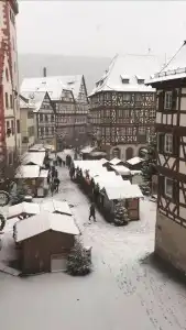 Schwanen - 28