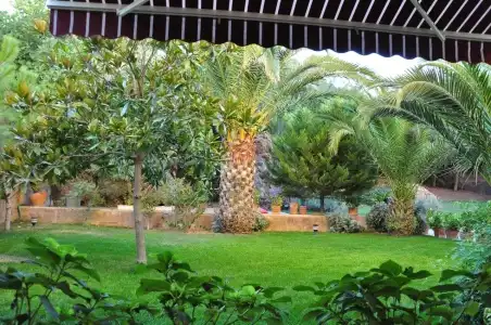 Palm Court Suites - 25