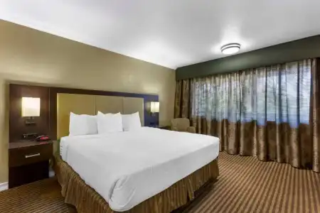 Royal Sun & Suites - 93