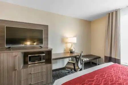 Comfort Inn & Suites Airport North - 31