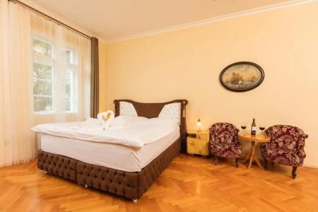 Prague Siesta Apartments - 53
