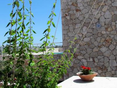 Edem Resort - 47