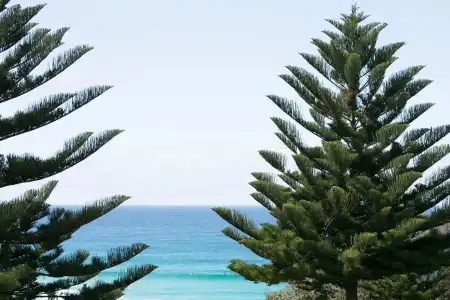 Bondi 38 Serviced Apartments - 15