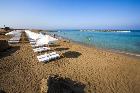 Venus Beach - 24