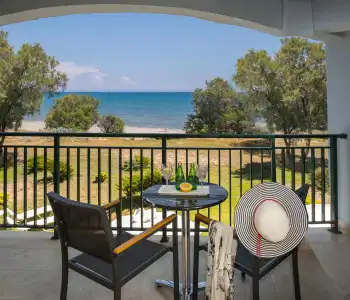Domes Aulus Zante, Autograph Collection - 7