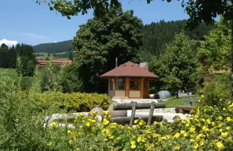 Schwarzwald-Resort Rößle - 11