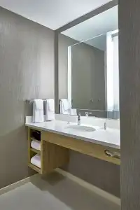SpringHill Suites by Marriott Charlotte at Carowinds - 27