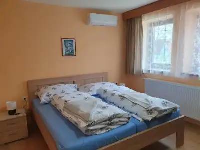 Pension Zelený strom - 3
